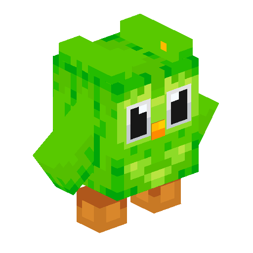 Duolingo