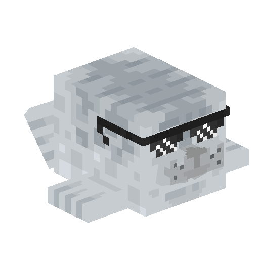 Seal with Shades